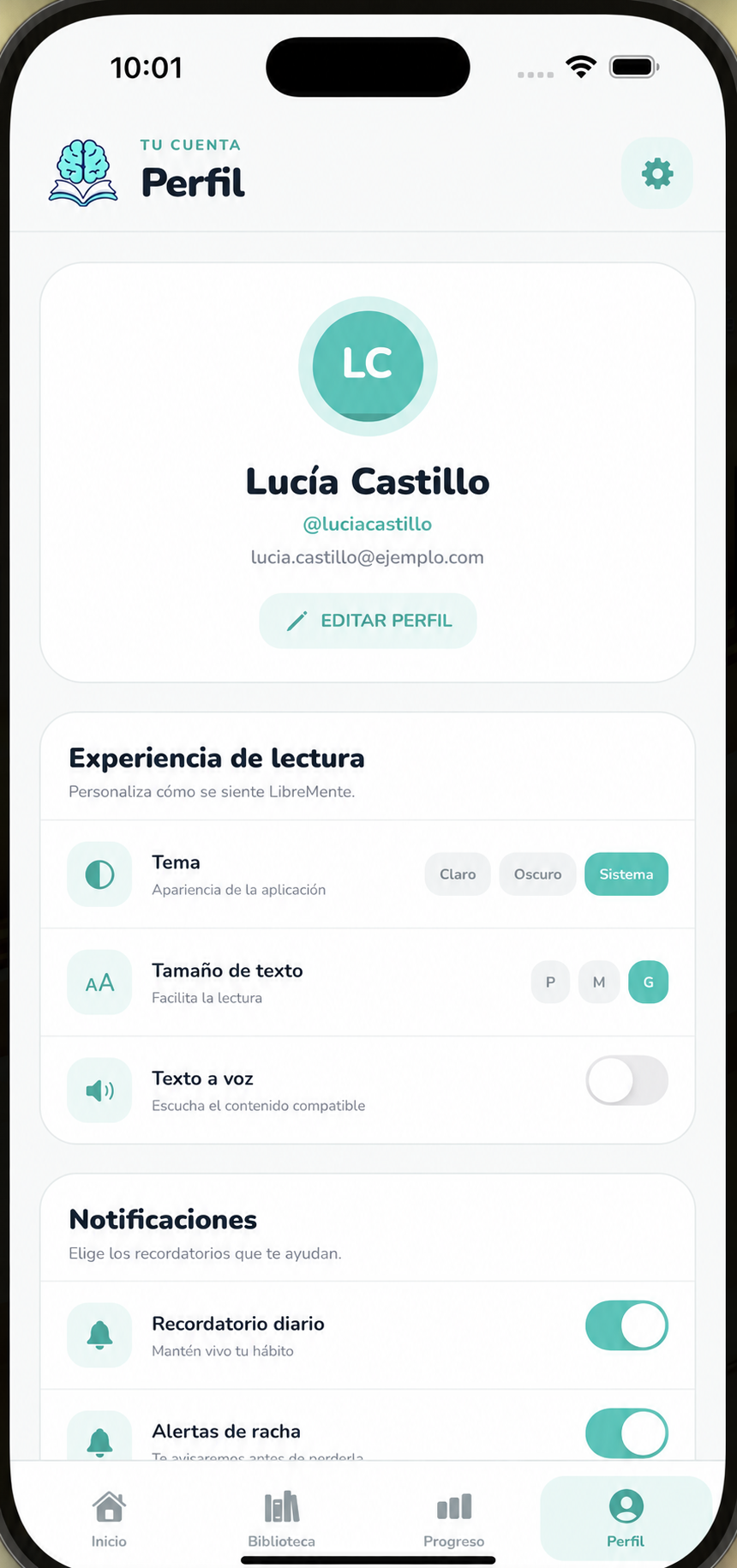 Perfil de lectura con opciones de accesibilidad